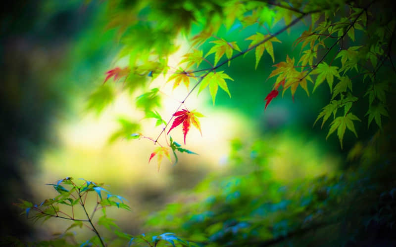 关于学习的名言警句 读书是易事，思索是难事，但两者缺一，便全无用处。——富兰克林
