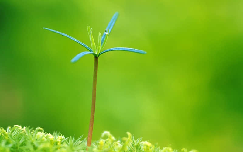 2018最新正能量激励人心的句子：成功者永不放弃，放弃者决不会成功