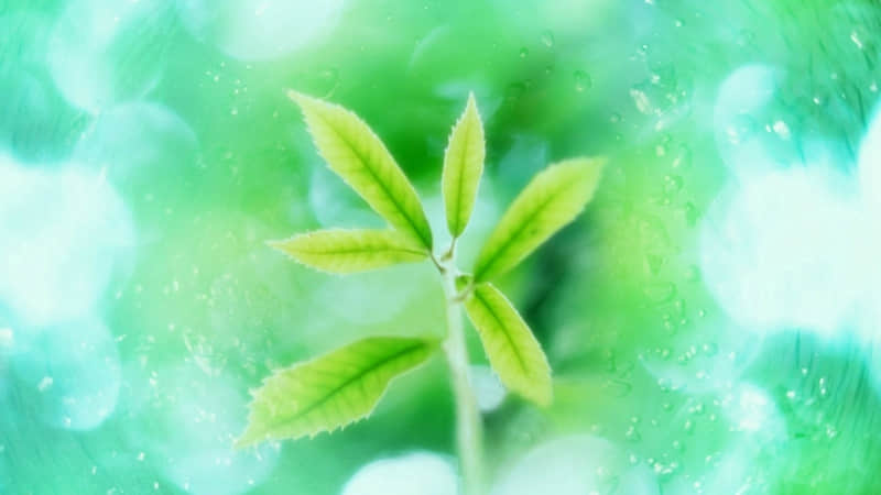 喜欢彼此的说说：只想每天都能抱着你睡觉，每天就想要睡你
