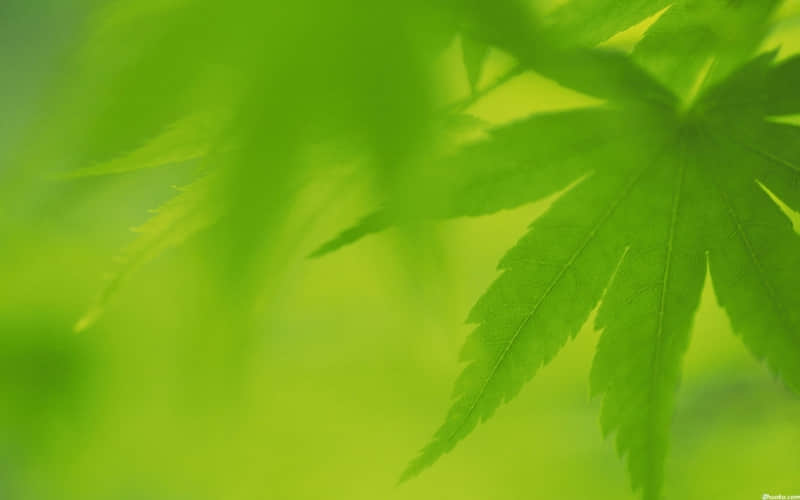 乔迁对联集锦：上联：择居仁里和为贵  下联：善与人同佳为邻