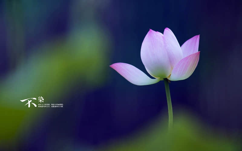 “5月11号母亲节那天，朋友圈就这样发，落落大方”🧡