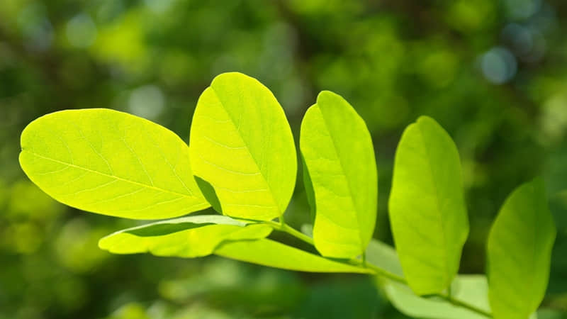 爱情总是，开始的很美丽。结束的没道理。
