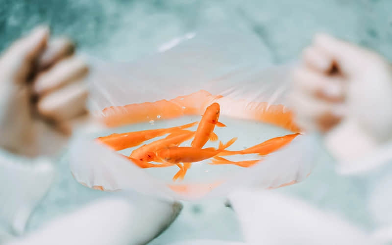 人生感悟的名言警句：人生只有必然，没有偶然