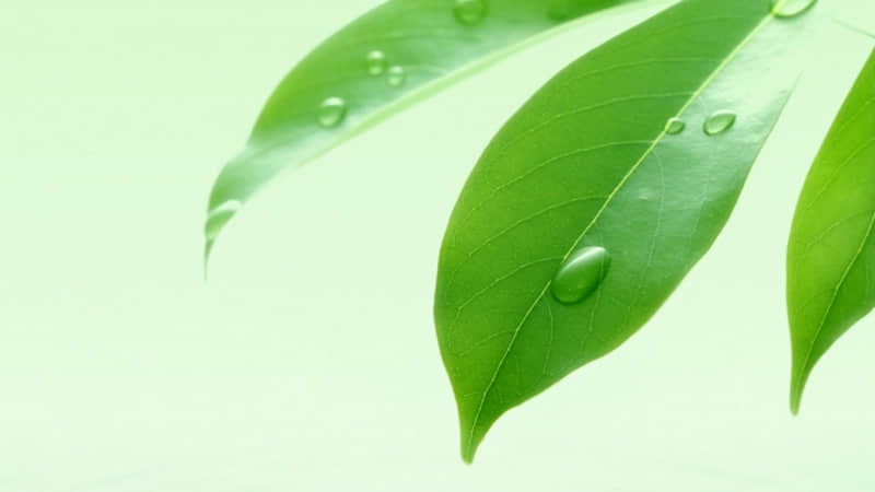 16句清朝优秀绝美诗词，有情有景有哲理，令人拍案叫绝