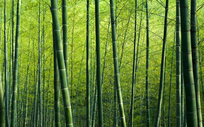 学习很累给你正能量的文案 努力学习鼓励的句子