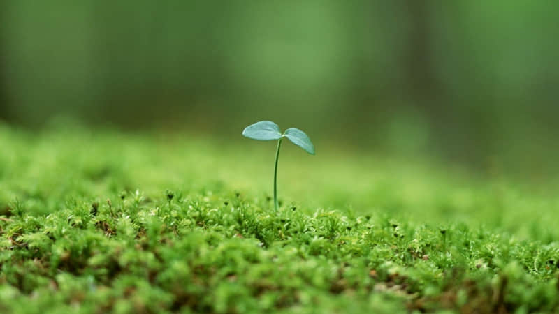 最新搞笑说说，笑破肚皮的说说：纯，属虚构，乱，是佳人